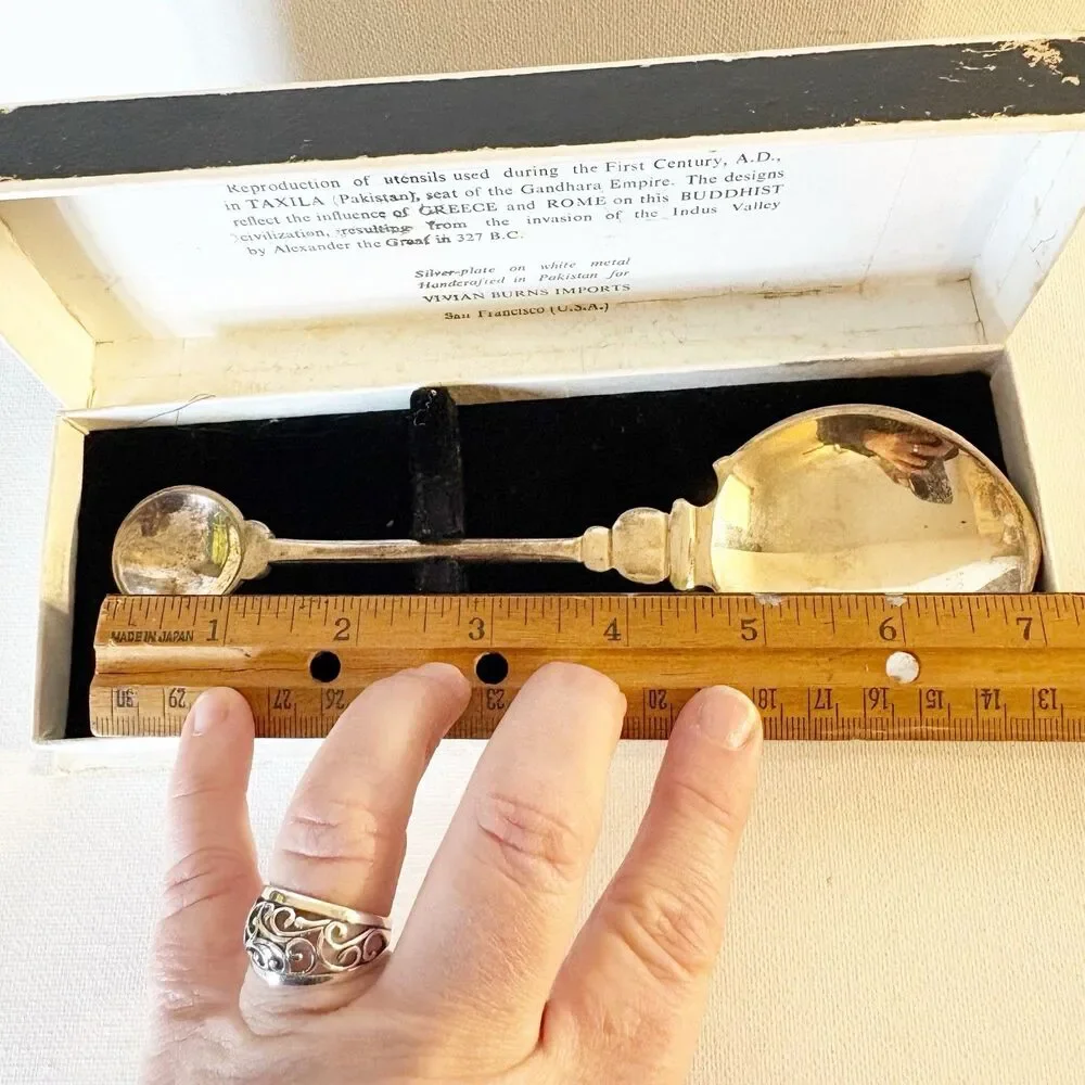 Vivian Burns Imports Silver Plate Serving Spoon Reproduction Pakistan 6